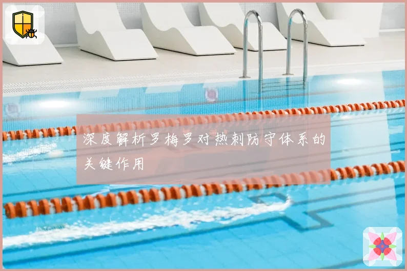 深度解析罗梅罗对热刺防守体系的关键作用