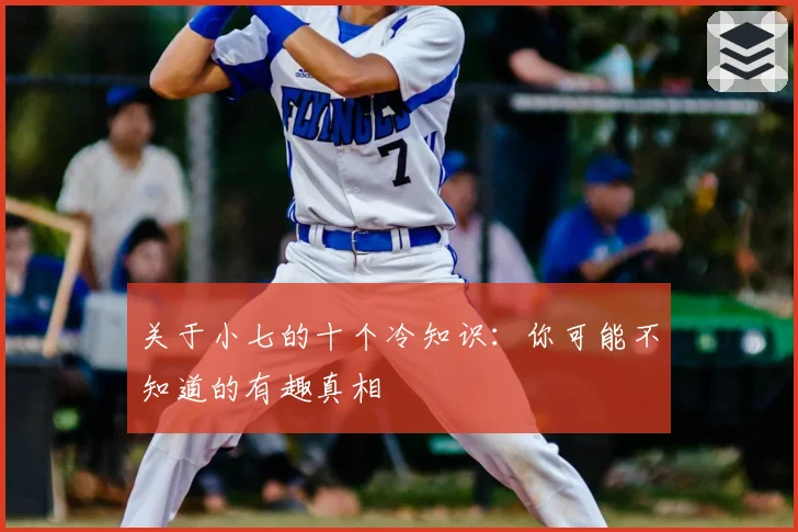 关于小七的十个冷知识：你可能不知道的有趣真相