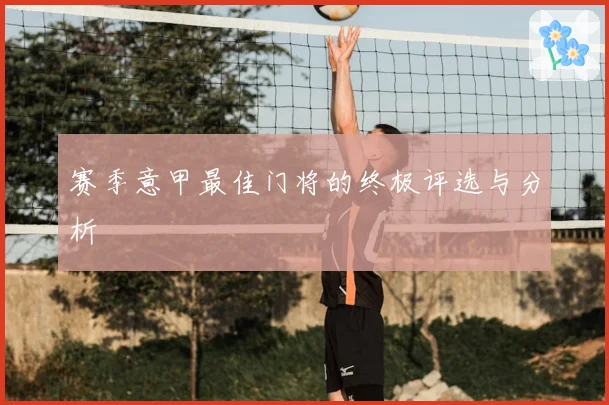 赛季意甲最佳门将的终极评选与分析