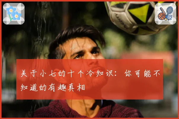 关于小七的十个冷知识：你可能不知道的有趣真相