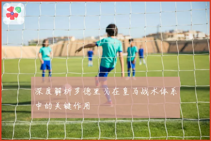 深度解析罗德里戈在皇马战术体系中的关键作用